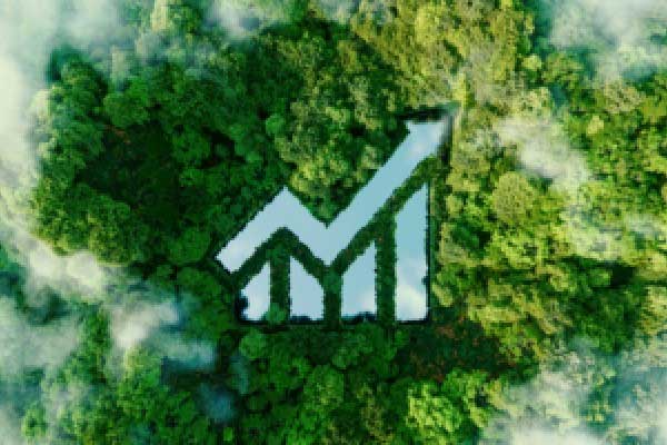 公募腰部阵营大洗牌：“黑马”海富通单季增328亿元排名升4，兴业、交银施罗德等五家规模超百亿收缩